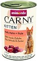 �������� �� ����� Carny Kitten - 