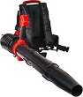   40V Raider Solo RDP-BBL20