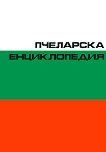 ��������� ������������ - 