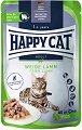 ���� �� ���������� ����� Happy Cat - 