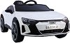 ������������ ���� Audi RS E-tron - � ������� 68 / 110 / 50 cm - �������