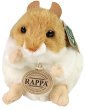    - Rappa - 