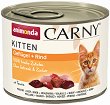    Carny Kitten - 