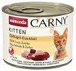    Carny Kitten - 