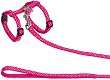       Nobby Dots - 