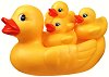   Playgro -      "Bath" - 