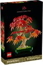 LEGO Botanicals - ������ ������ ������� ���� - ����������� - �������