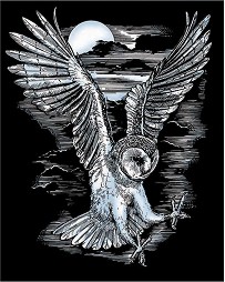     Sequin Art -  -   - 