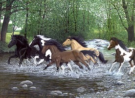 Нарисувай сам картина - Препускащи в река коне - Творчески комплект - продукт
