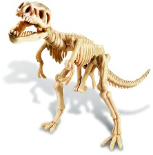 Открий и сглоби - Скелет на тиранозавър - Детски образователен комплект от серията "Kidz Labs" - играчка
