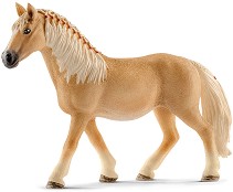   -    Horse Club - 