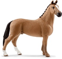   -    Horse Club - 