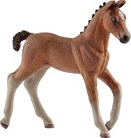   -    Horse Club - 