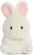  -     "Rolly Pet" - 