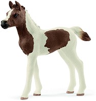   -    Horse Club - 