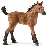   -    Horse Club - 