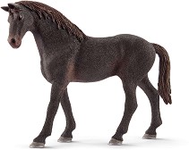    -    Horse Club - 