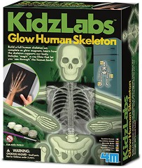    -      "Kidz Labs" -  