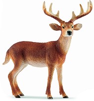    -    Wild Life - 