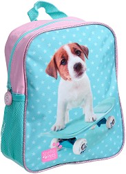     Paso -    -   "Paso: Studio Pets" - 