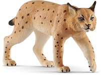  -    Wild Life - 