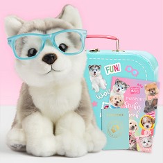     - Studio Pets -  ,      - 
