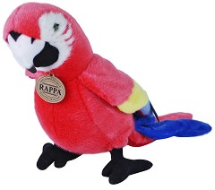      - Rappa -   25 cm - 