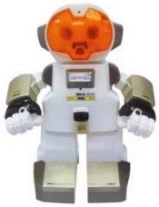  "Echo-Bot" - 