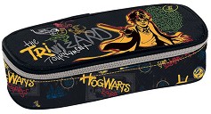   - The Wizard -     - 