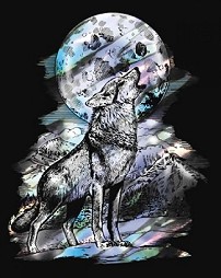    Sequin Art -  -   - 