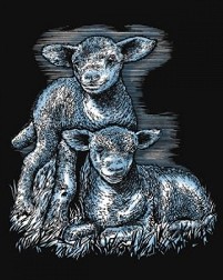     Sequin Art -  -   - 
