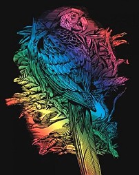     Sequin Art -  -   - 