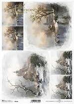 ��������� ������ ITD Collection - ����� �������