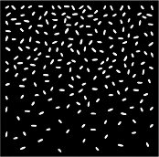 ������ Stamperia - ������� ������