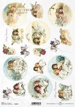 ��������� ������ ITD Collection - ������