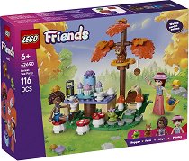 LEGO Friends - ������ ����� ����� - �������