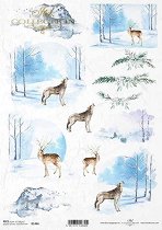   ITD Collection -  